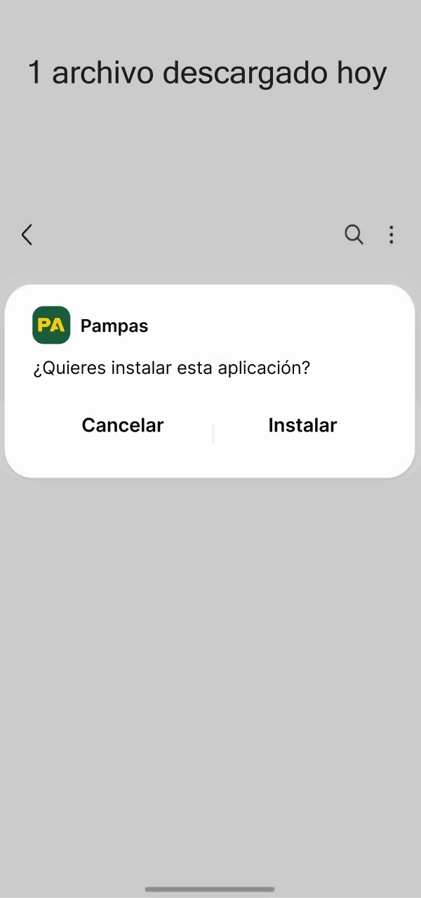 Continúe con la instalación de la aplicación Pampas para Android.